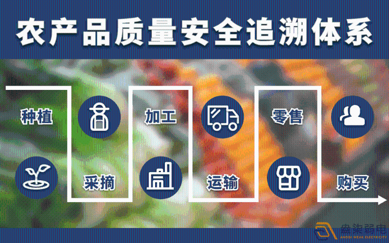 RFID技術(shù)在食品廠安全追溯的管理 RFID技術(shù)在食品廠安全追溯的管理
