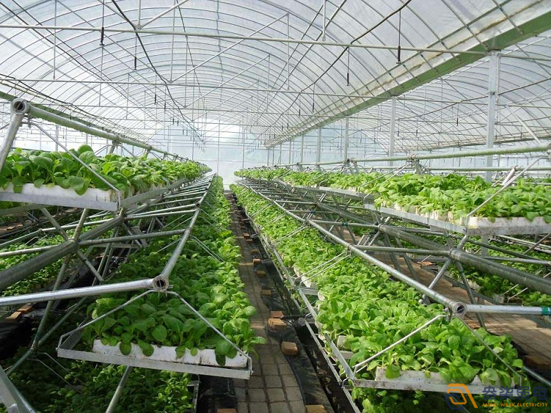 智能化管理提升大棚種植效率 智能化管理提升大棚種植效率